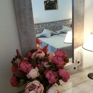 Economy  Ground Floor Twin Room